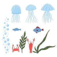 definir a fauna marinha em fundo branco. desenho animado bonito água-viva, peixe, caranguejo de lagostim, bolha e algas no doodle. vetor