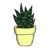 aloe tigre em estilo doodle. aloe de peito de perdiz dos desenhos animados. ilustração vetorial colorida isolada no fundo branco vetor