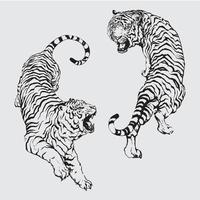 vetor de dois tigres