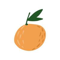 tangerina isolada no fundo branco. fruta de natal em doodle. vetor