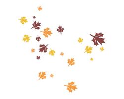 ícones de vetor de logotipo de folha outono