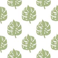 isolado padrão botânico sem costura com folhas de monstera verde doodle. pano de fundo tropical com fundo branco. vetor