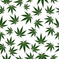 Maconha ou cannabis folhas sem costura de fundo