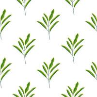 folha verde minimalista ramos sem costura padrão em estilo desenhado à mão. fundo branco. enfeite de álbum de recortes. vetor