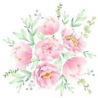 arranjo de buquê de flores de peônia rosa aquarela vetor
