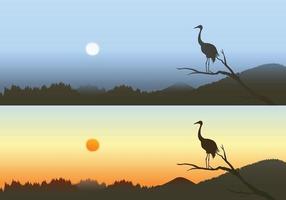 Pacote de papel de parede do vetor Sunset Heron