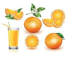 conjunto realista laranja
