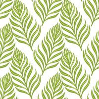 isolado padrão de botânica sem costura estilo simples com ornamento de silhuetas de samambaia. fundo branco. folhagem verde. vetor