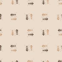 formigas de colônia padrão sem emenda em fundo bege. modelo de insetos vetoriais em estilo simples para qualquer finalidade. textura de animais modernos. vetor