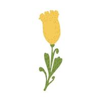 tulipa isolada no fundo branco. flor abstrata cor amarela no estilo doodle. vetor