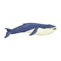 baleia azul isolada no fundo branco. personagem de desenho animado do oceano para crianças. impressão simples com mamífero marinho. vetor