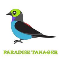 ícone de arte de linha de pássaro do paraíso tanager vetor