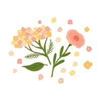 composição de flores e folhagens em fundo branco. esboço botânico abstrato yarrow e papoula desenhada à mão em estilo doodle. vetor