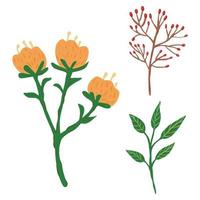 definir flores, folhagens e bagas em fundo branco. esboço botânico abstrato desenhado à mão em estilo doodle. vetor