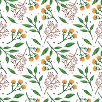 padrão sem emenda de ervas em fundo branco. decoração de textura abstrata com folhas, flores e raminhos de bagas. arte floral primavera vintage para textura de jardim print.summer. vetor