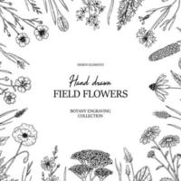 quadro de flores silvestres de verão desenhado à mão. ilustração vetorial em estilo de desenho vetor