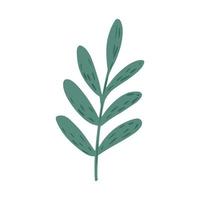 galho verde com pequenas folhas isoladas no fundo branco. esboço botânico desenhado à mão em estilo doodle. vetor