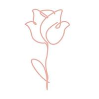 linhas contínuas rosa rosa flor logotipo símbolo vetor ícone ilustração design gráfico