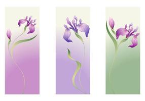 Íris flor vector banner pack