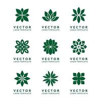 conjunto de vetores de modelo de logotipo de flor verde