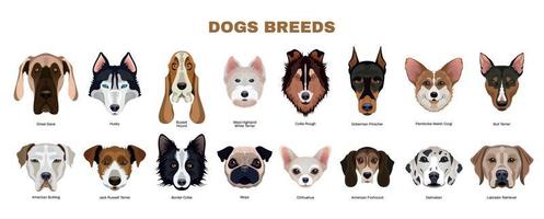 conjunto de raças de cães vetor