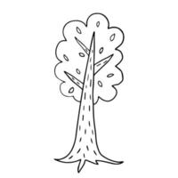 doodle bonito, árvore dos desenhos animados, isolada no fundo branco. ícone de esboço desenhado de mão de floresta. vetor