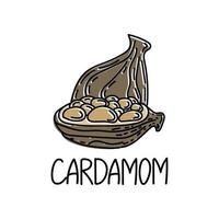 cardamomo, elemento desenhado no estilo doodle. modelo de design de embalagem de logotipo e emblema - ervas e especiarias - cardamomo. logotipo em um estilo linear elegante. vetor