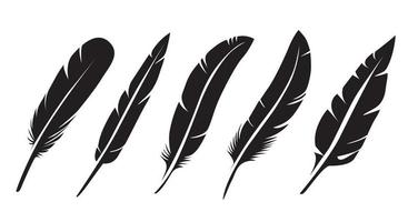 pena de pássaro preto. ilustração vetorial e ícones de contorno. símbolo da liberdade. vetor