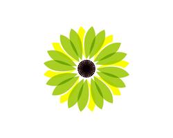 Flor de jasmim ícone vector ilustração logo modelo de design