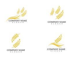 Agricultura trigo Logo Template vector ícone do design