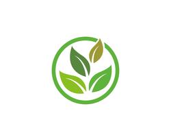 Logos de ecologia de folha de árvore verde vetor