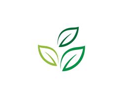 Logotipos de vetor de elemento de natureza ecologia folha verde