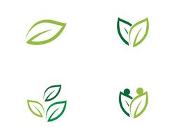 Logotipos de vetor de elemento de natureza ecologia folha verde