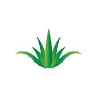 modelo de ilustração vetorial de logotipo de aloe vera vetor