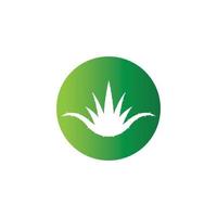 modelo de ilustração vetorial de logotipo de aloe vera vetor