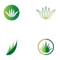 modelo de ilustração vetorial de logotipo de aloe vera vetor