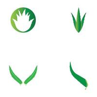 modelo de ilustração vetorial de logotipo de aloe vera vetor