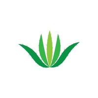 modelo de ilustração vetorial de logotipo de aloe vera vetor