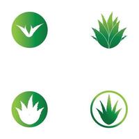 modelo de ilustração vetorial de logotipo de aloe vera vetor