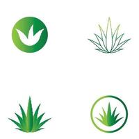 modelo de ilustração vetorial de logotipo de aloe vera vetor