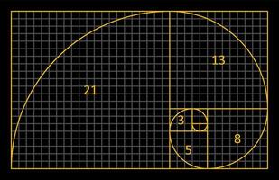 proporção áurea fibonacci. uma espiral para harmonia, composição, logotipos e designs. proporções corretas. vetor