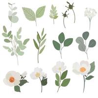 flor de camélia branca e coleção de estilo plano de ramo de folhas verdes isolada no fundo branco vetor