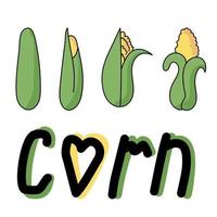 conjunto de ilustração colorida doodle milho, mão verde e amarela desenhar ilustração vetorial e o milho de inscrição vetor