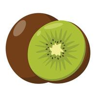 vetor de frutas kiwi