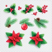 conjunto de decorações florais de natal vetor