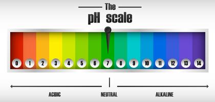 O diagrama de escala de ph vetor