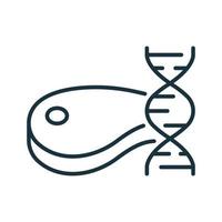 ícone de linha de carne cultivada genética. molécula de dna e pictograma linear de alimentos artificiais de carne. ícone de contorno de carne modificada por gene. tecnologia de laboratório do futuro. ilustração vetorial isolado. vetor