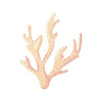 coral, planta subaquática de vetor de pólipo. aquário, oceano e vida submarina isolados no fundo branco. fauna de aquário e habitat de recifes oceânicos em um estilo simples de desenho animado.