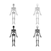 conjunto de contorno de ícone de esqueleto humano cor preta cinza vetor