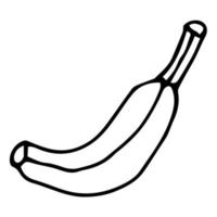 banana desenhada de mão desenhada isolada no fundo branco. fruta dos desenhos animados. vetor